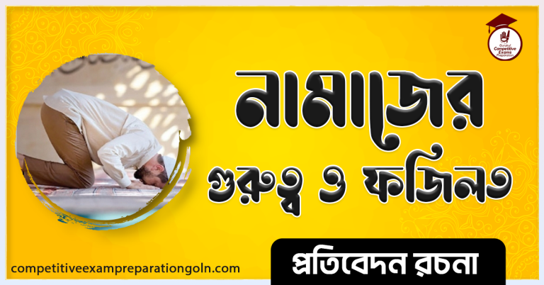 ক্রিকেট খেলা রচনা । Essay on Cricket game