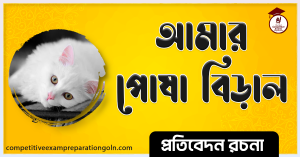 পোষা বিড়াল রচনা পোষা বিড়াল রচনা