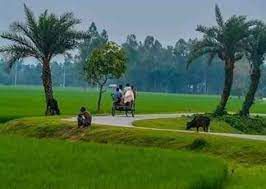 আমাদের গ্রাম রচনা । Essay on Our village । প্রতিবেদন রচনা