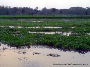 কপোতাক্ষ নদ ( Kapotaksho Nod )
