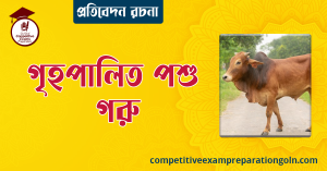 গরুর রচনা । বাংলা রচনা, রচনা লিখন