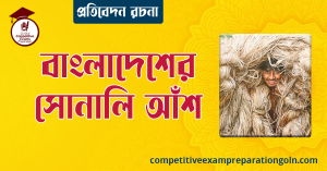 পাট রচনা । বাংলা রচনা, রচনা লিখন