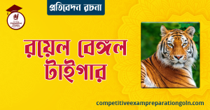 রয়েল বেঙ্গল টাইগার রচনা । বাংলা রচনা, রচনা লিখন