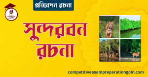 সুন্দরবন রচনা । বাংলা রচনা, রচনা লিখন